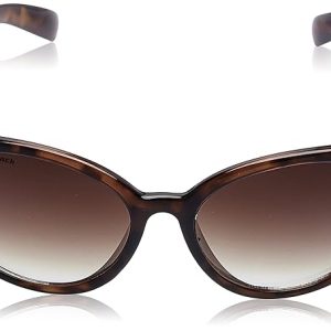 Brown sunglasses with tinted lenses on a white background